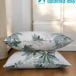 ২টি বালিশ